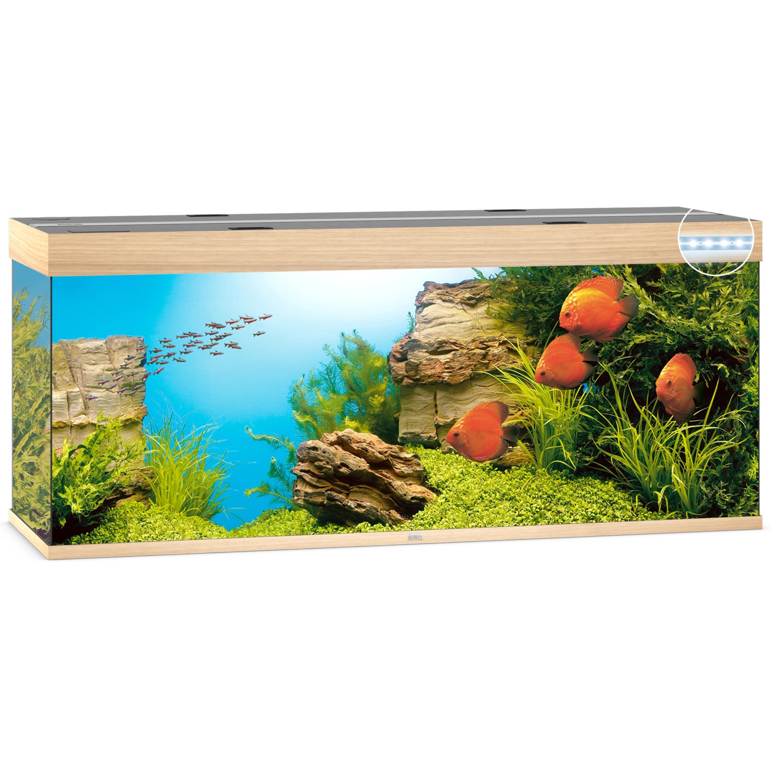 Juwel Aquarium-Set Rio LED, helles Holz, 450 l, mit Fischen, Pflanzen und Dekoration.