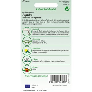 SAMEN PFANN Paprika Indired F1