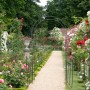 Schwarzer Relaxdays Rosenbogen mit Tor im Garten, Rankhilfe für Rosen und Kletterpflanzen.