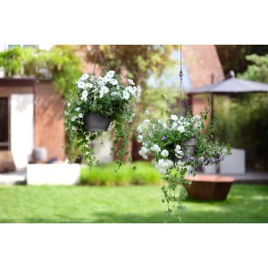 Zwei anthrazitfarbene Elho Hängeampeln Vibia Campana mit weißen Blüten im Garten.