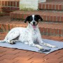 Hund liegt auf grauer Kühlmatte mit Pfotenmuster von Dobar, 99,5x70cm. Hundekissen für den Sommer.