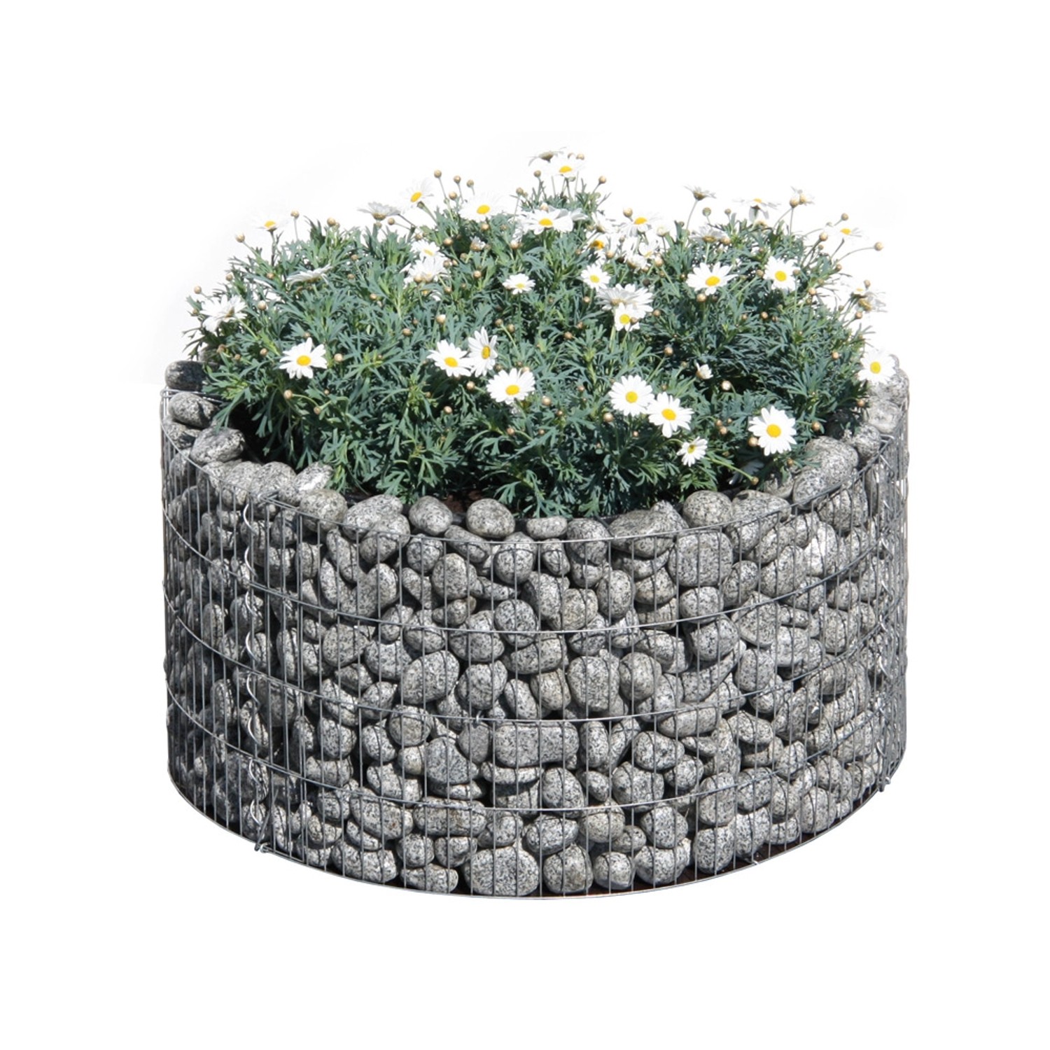 Bellissa Gabionen-Hochbeet Basic rund Ø 81 cm / Ø 67 cm x 40 cm