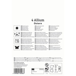 Kiepenkerl Blumenzwiebel Zierlauch Ostara, 4 Stück. Verpackung mit Produktinformationen.