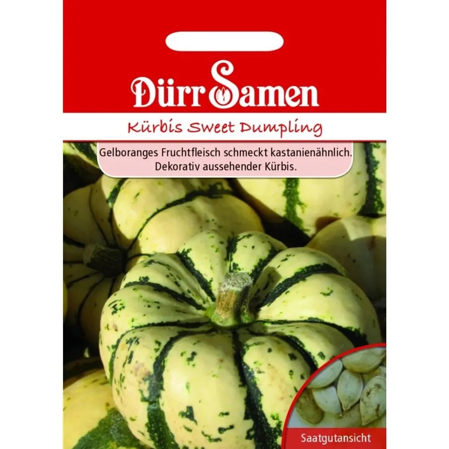 Dürr Samen Kürbis Sweet Dumpling Saatgut