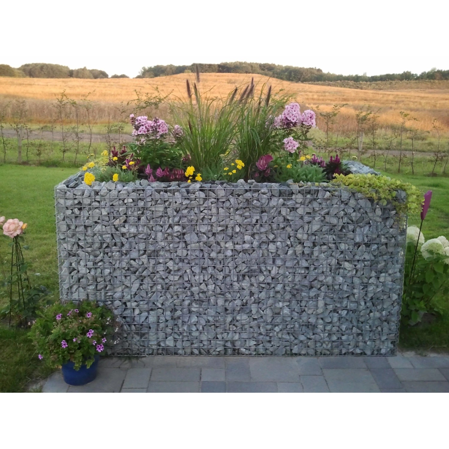Eckiges Gabiona Gabionen-Hochbeet (40x100x40 cm) mit Steinfüllung und Bepflanzung.