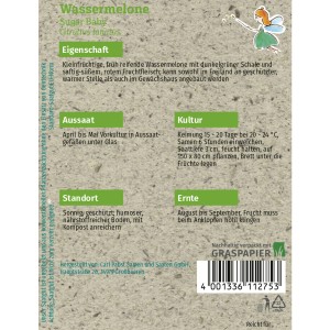 Saatgutpackung Grüne Fee Wassermelone Sugar Baby, kleinfrüchtige Sorte für Garten & Gewächshaus.