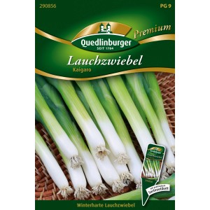 Samentüte Quedlinburger Lauchzwiebel 'Kaigaro' mit Abbildung der Lauchzwiebeln.