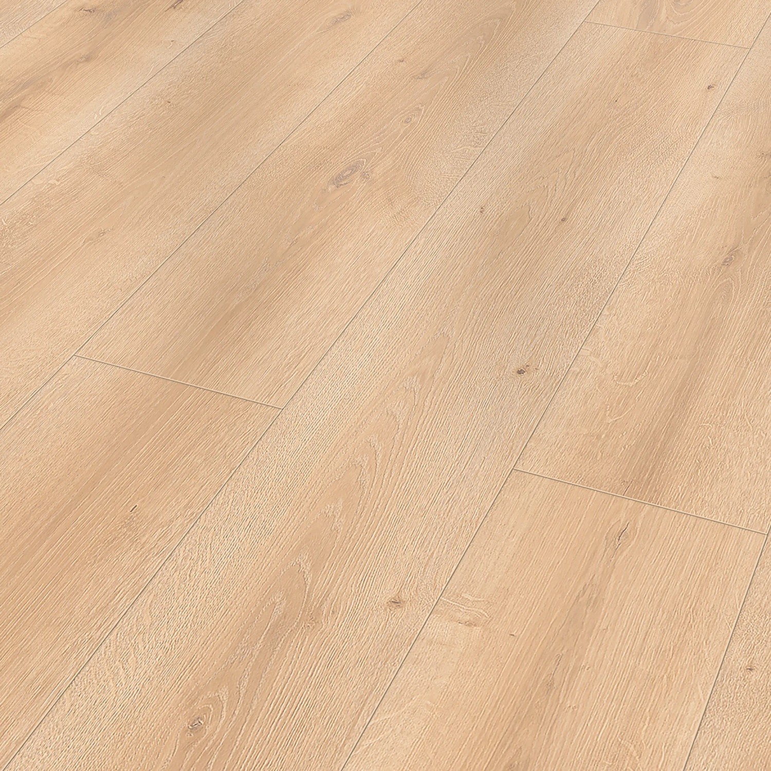 Classen Laminat 8 mm, wasserfest, Eiche Creme Natur, Holzbodenoptik.