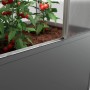 Biohort Florentina Gewächshausaufsatz für Hochbeet, Quarzgrau-Metallic, mit Tomatenpflanzen.
