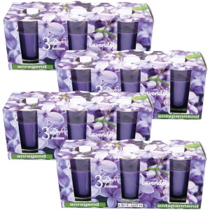HS Candle Duftkerzen Classic 12er Pack Lavendel im Karton mit Lavendelblüten.
