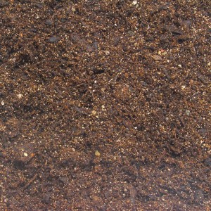 Nahaufnahme: JBL TerraBasis Terrarium-Bodengrund, Spezialerde für feuchte Terrarien, 5 l.