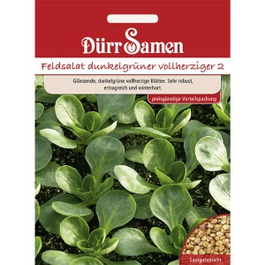 Dürr Samen Feldsalat Dunkelgrüner Vollherziger, Packung mit Salatpflanzen.