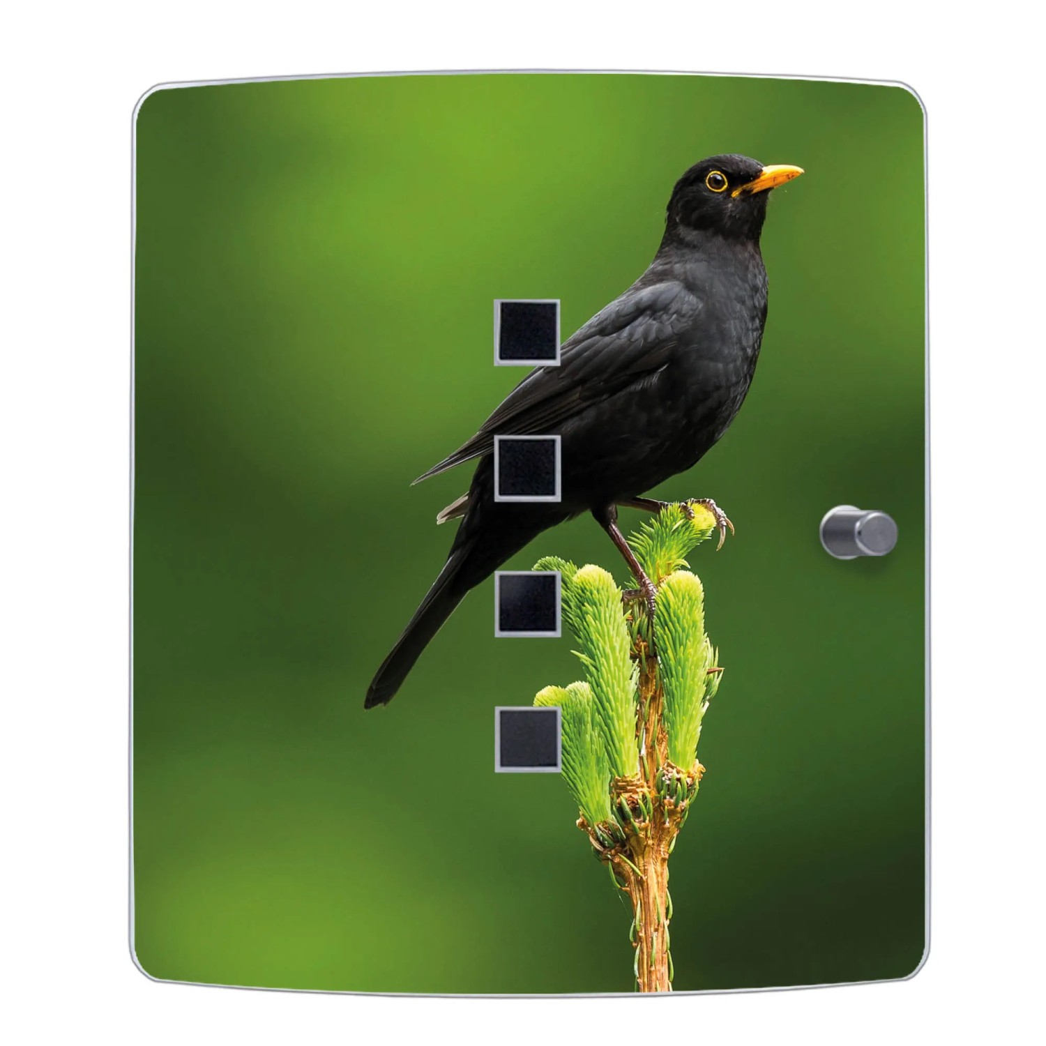 DEQORI Schlüsselkasten Motiv Hirsch – 30x30 Cm, UV-Druck, Wasserabweisend, Platz Für 50 Schlüssel, Flach, Für Flur