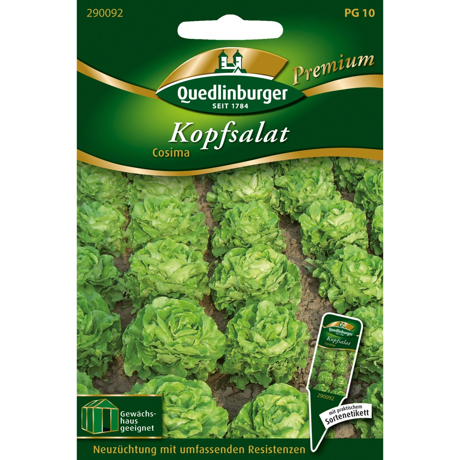 Quedlinburger Kopfsalat Cosima Loses Saatgut günstig online kaufen