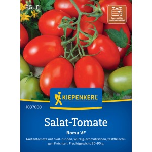 Kiepenkerl Tomate Roma: Pflaumenförmige, rote Tomaten am Strauch, ideal zum Grillen.