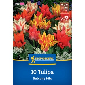 Kiepenkerl Greigii-Tulpen Balkonzauber Mix, 10 mehrfarbige Tulpenzwiebeln für Balkonkästen.