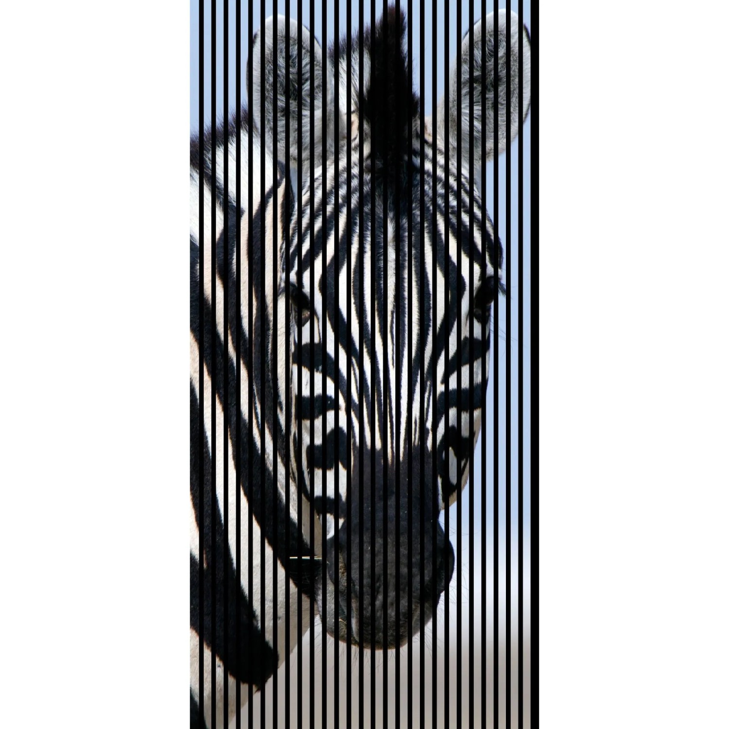 FN Acustico Akustikplatte Zebra 1 PET u. MDF Foliert 1.133 x 19 x 2.400 mm