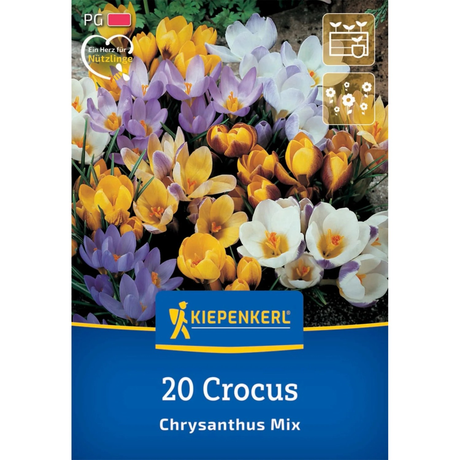 Kiepenkerl Blumenzwiebel Botanische Krokus-Mischung 20 Stück