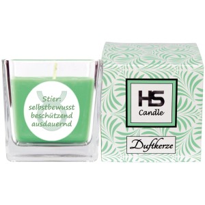 HS Candle Duftkerze Stier im Glas mit Kokos-Limette Duft, 50h Brenndauer.