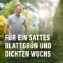Grüne Buchsbäume im Garten mit Text: 'Für ein sattes Blattgrün und dichten Wuchs'. Compo Buchsbaumdünger.