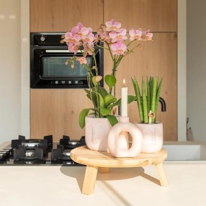 Altrosa Kolibri Orchidee Phalaenopsis Jewel Treviso im 12cm Topf auf Holzschemel.