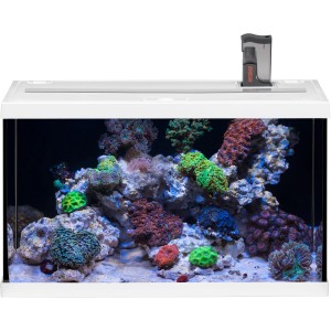 Weißes Eheim Aquastar Marine 63 l Aquarium-Set mit Korallen und Meerwasserdeko.