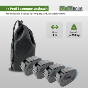 4er Set TRUTZHOLM Profi Spanngurte, 4m, 250kg, anthrazit, mit Tasche. Ideal zur Ladungssicherung.