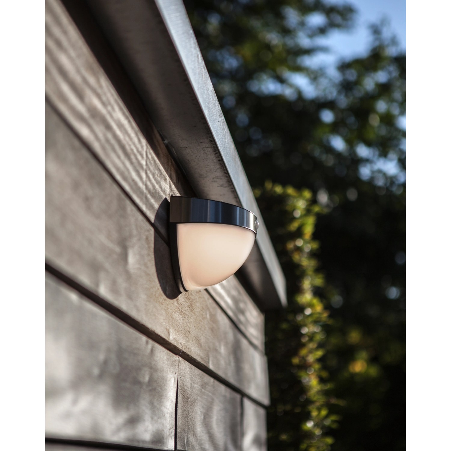 Lutec Solar-Außenwandleuchte Bubble aus Edelstahl an einer Holzwand.