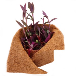 Aquagart Kokosmatte als Winterschutz für Pflanzen im Topf. Naturprodukt zum Schutz vor Frost.