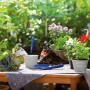 Graues Abdeckvlies auf Holztisch im Garten, schützt bei Umtopfarbeiten mit Pflanzen, Erde und Gartengeräten.