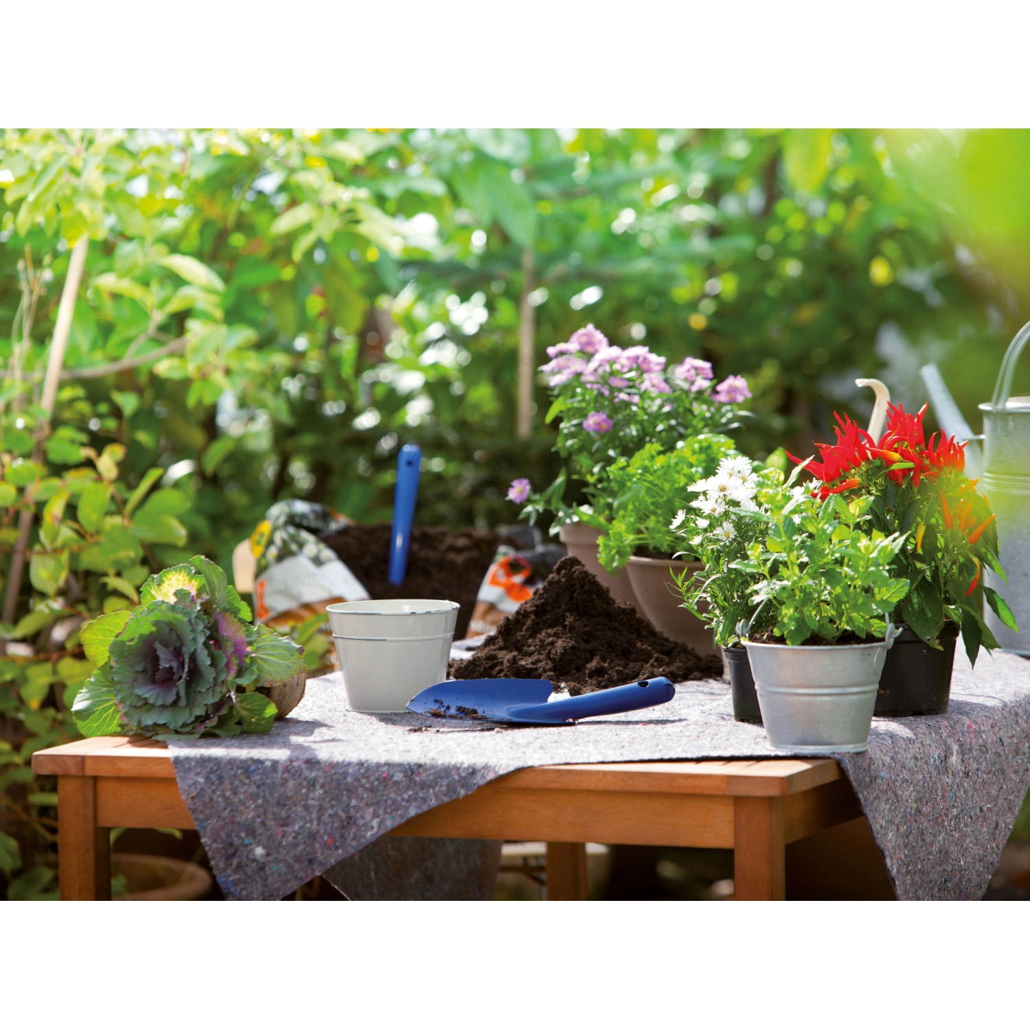 Graues Abdeckvlies auf Holztisch im Garten, schützt bei Umtopfarbeiten mit Pflanzen, Erde und Gartengeräten.