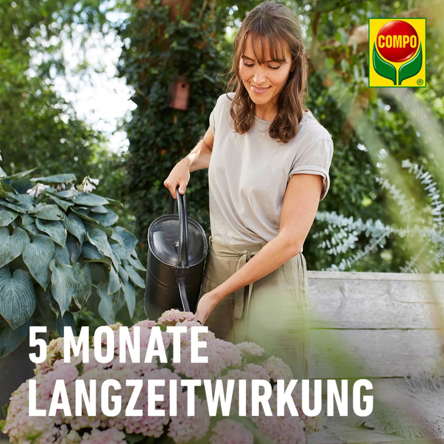 Compo Rhododendron Langzeitdnger Bio mit Schafwolle 2 kg kaufen bei OBI
