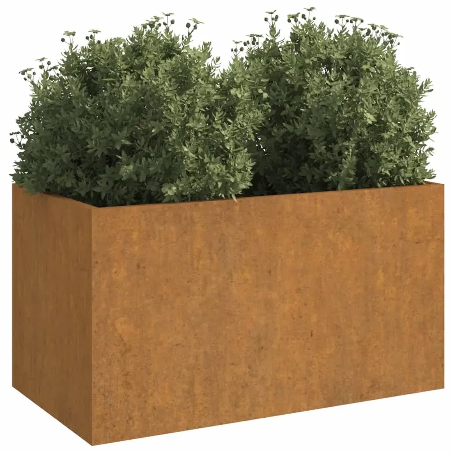 Rechteckiger Pflanzkübel aus Cortenstahl, rostfarben, 62x30x29 cm, mit grünen Pflanzen. Für Garten & Balkon.