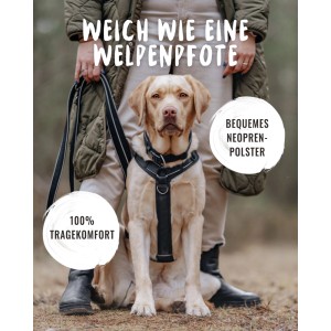 Hund mit Rudelkönig Brustgeschirr Paola, Größe S, gepolstert, für komfortablen Sitz.