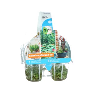 GROW by OBI Schwimmpflanzen Set, 6er-Pack im Topf, Wasserpflanzen für den Gartenteich.