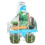 GROW by OBI Schwimmpflanzen Set, 6er-Pack im Topf, Wasserpflanzen für den Gartenteich.