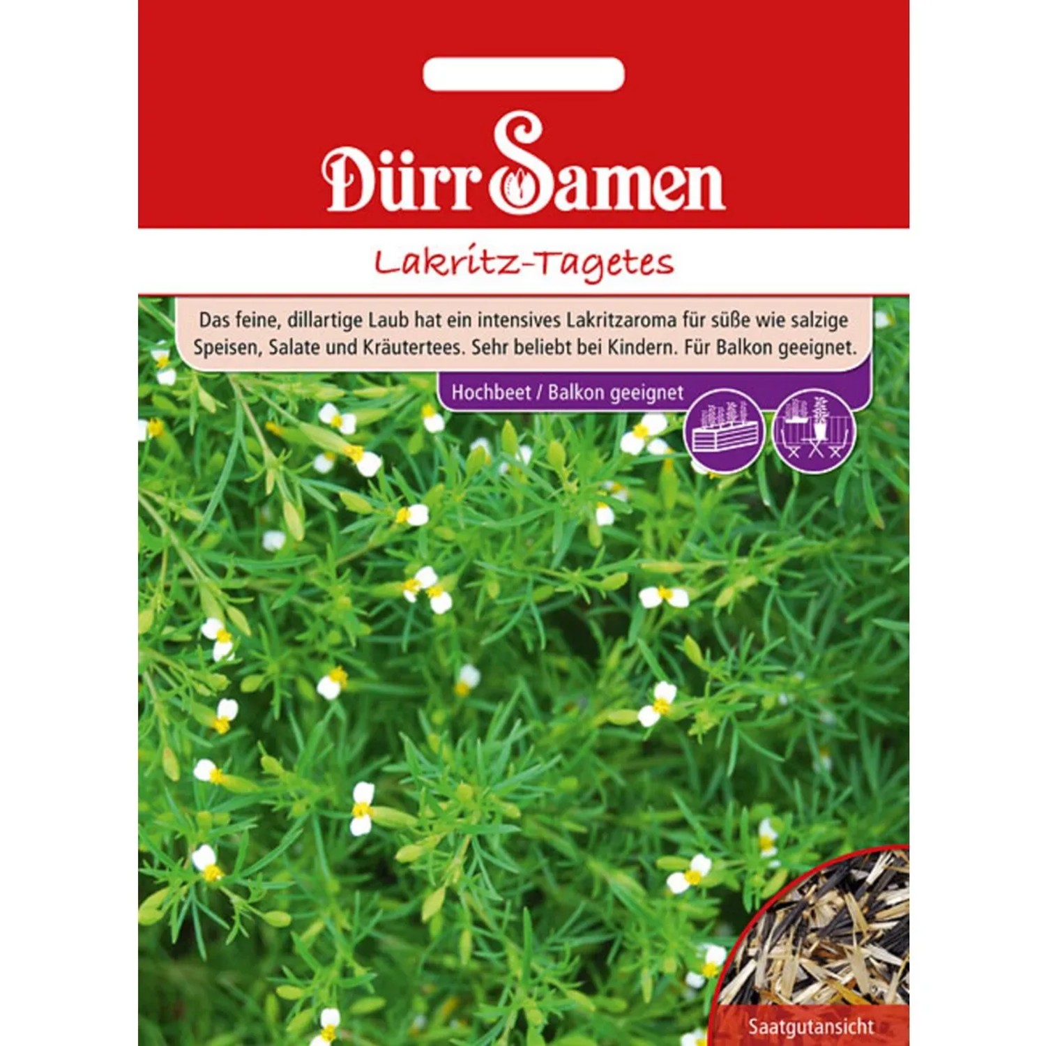 Dürr Samen Lakritz-Tagetes Saatgut
