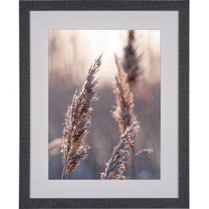 Schwarzer Holzbilderrahmen (40x50 cm) mit Passepartout und Gräser-Motiv.