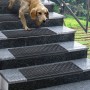 Karat Gummi Stufenmatten Diamond auf Außentreppe mit Hund, 30x90 cm, rutschfest.