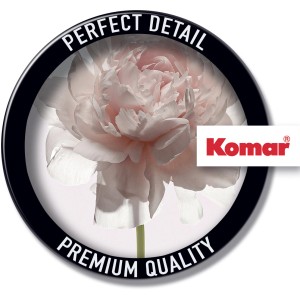 Komar Wandbild Rose, 30x40 cm, Nahaufnahme einer zarten, hellrosa Rose im runden Rahmen.
