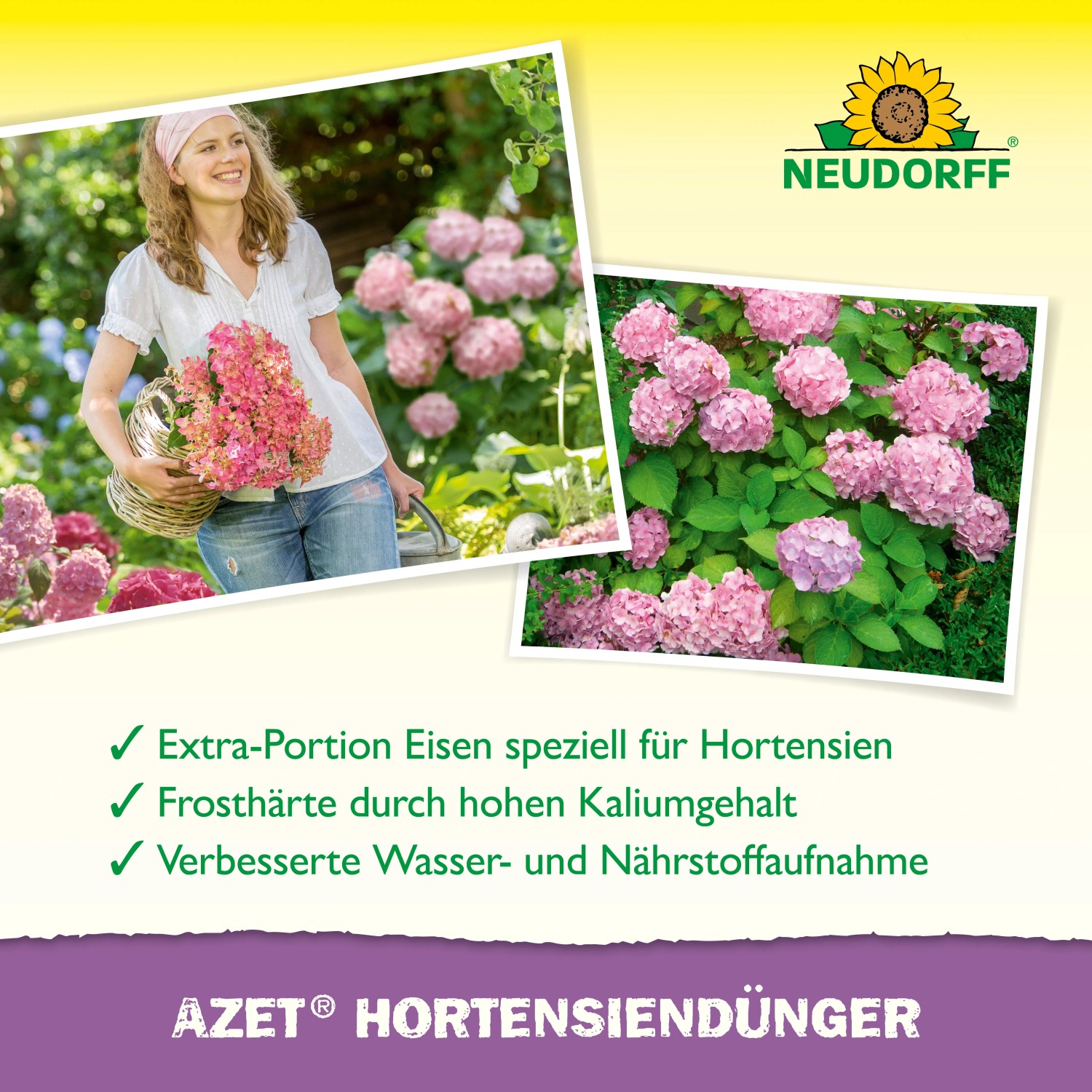 dünger für nadelgehölze Hauert Dünger Laub Und Nadelholz 5 kg Weiss/pastell
