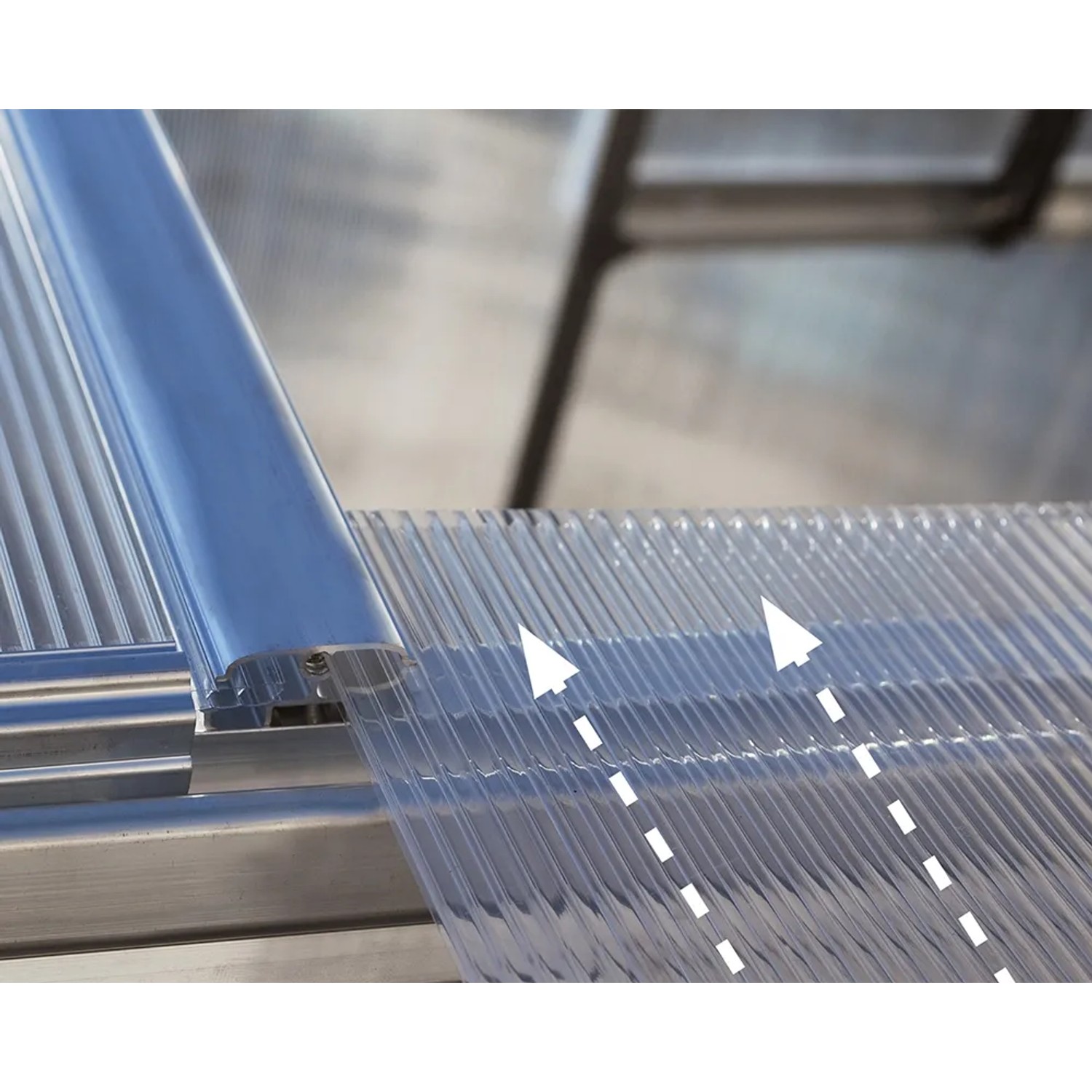 Detailaufnahme: Klare Polycarbonat-Wandpaneele des Palram Canopia Balance Gewächshauses.