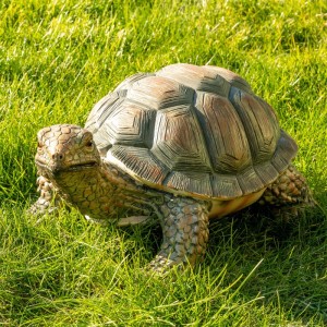 VERDOBA Gartendeko Safari Gartenfigur Schildkröte
