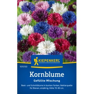 Kiepenkerl Kornblumen, gefüllte Mischung in verschiedenen Farben, ideal für Beet und Schnitt.