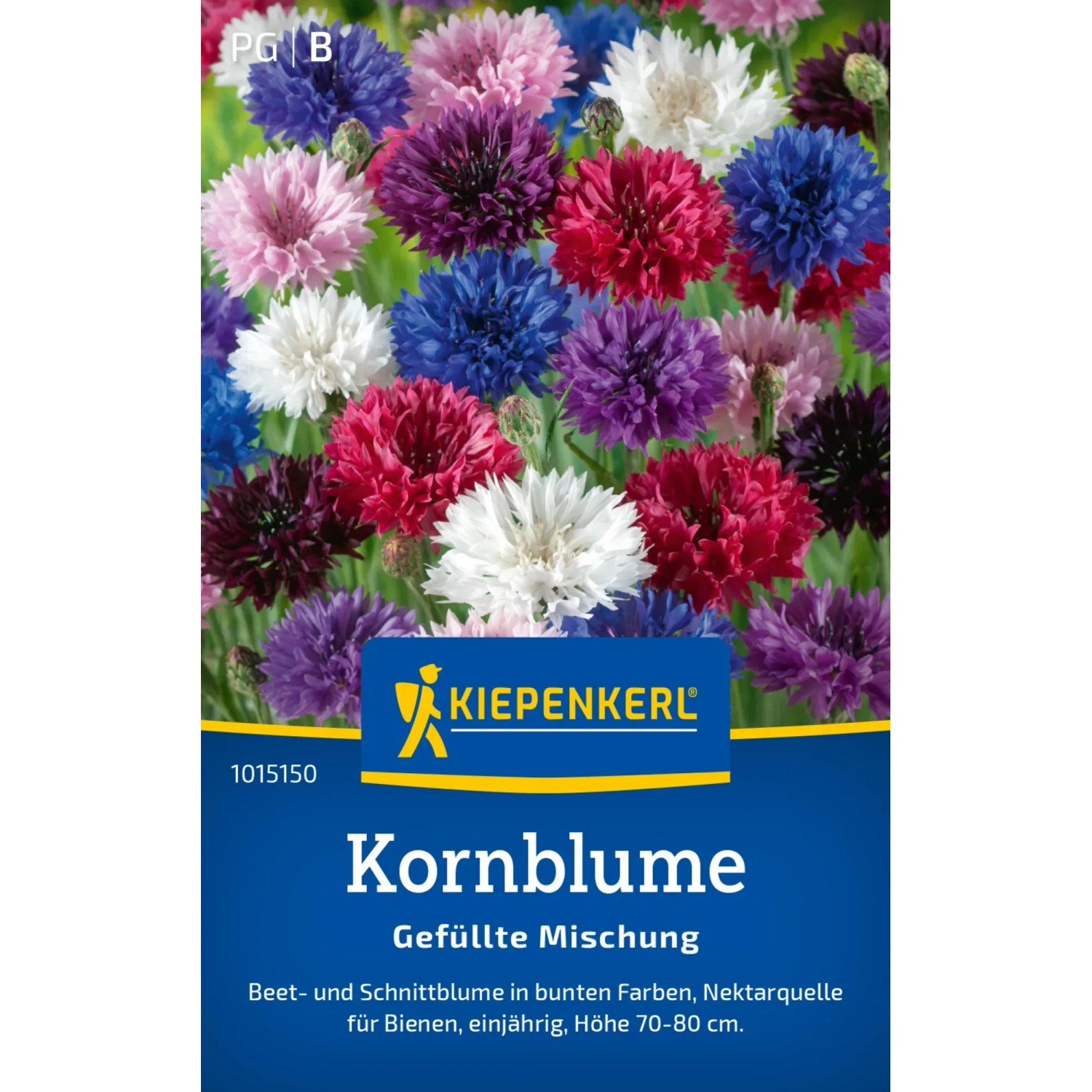 Kiepenkerl Kornblumen "Gefüllte Mischung" Mehrfarbig