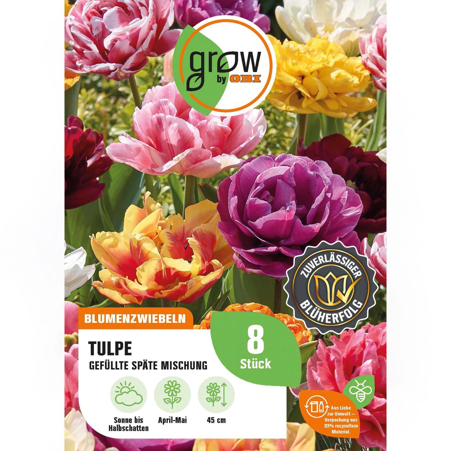 GROW by OBI Tulpen Gefüllte späte Mischung 8 Stück Tulipa double late Mixed günstig online kaufen