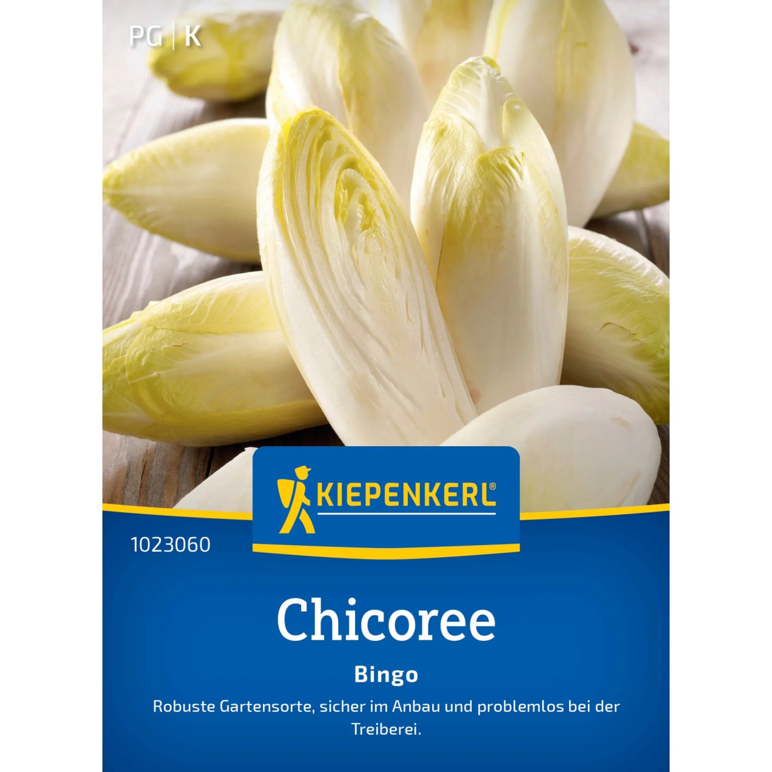 Kiepenkerl Chicoree "Bingo" F1-Hybride
