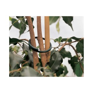 Dunkelgrüner Ringbinder (7 Stk.) umschließt Pflanzenstiel im Garten.