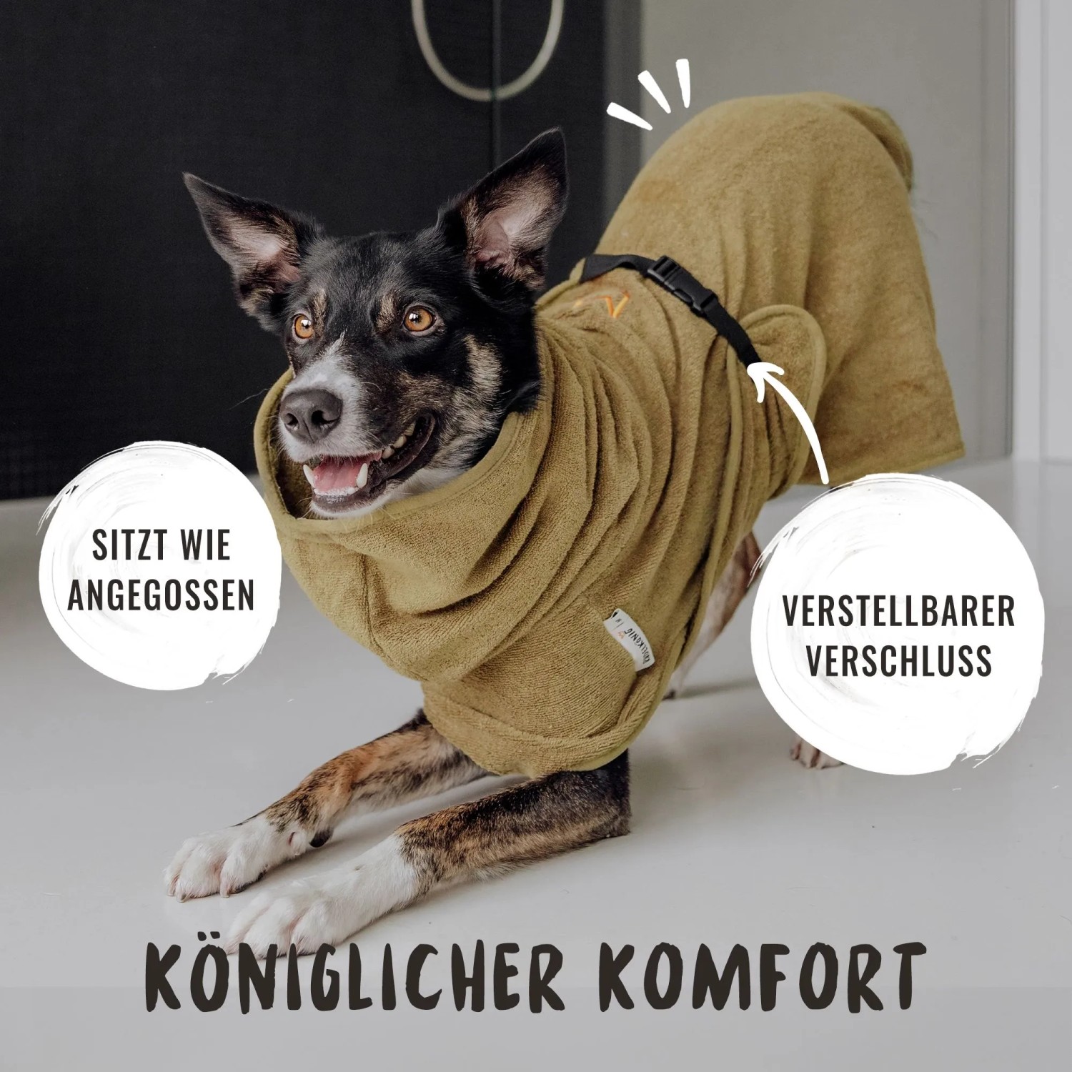 Rudelkönig Hunde Bademantel S Grün Baumwolle Frottee_4