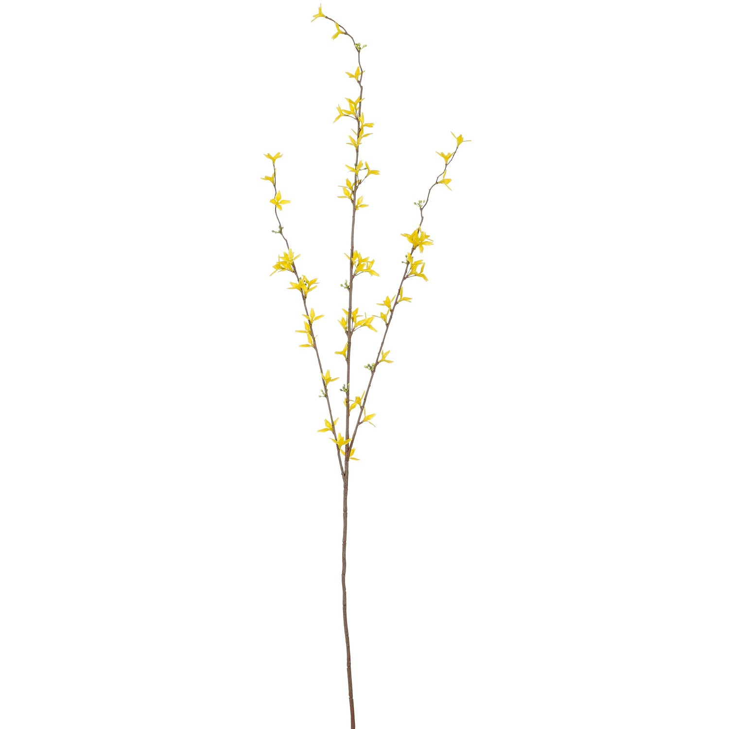 Mica Decorations Forsythia Gelb 97 cm günstig online kaufen